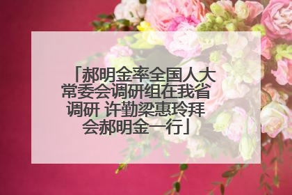 郝明金率全国人大常委会调研组在我省调研 许勤梁惠玲拜会郝明金一行
