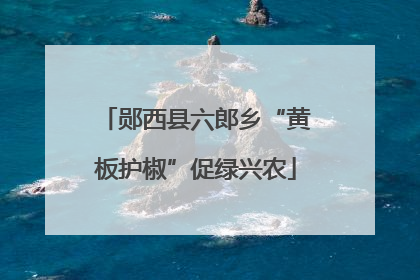 郧西县六郎乡“黄板护椒”促绿兴农