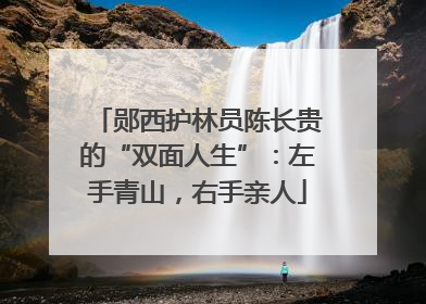 郧西护林员陈长贵的“双面人生”：左手青山，右手亲人