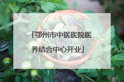 鄂州市中医医院医养结合中心开业