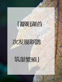 鄱阳湖首次发现彩鹮筑巢繁殖