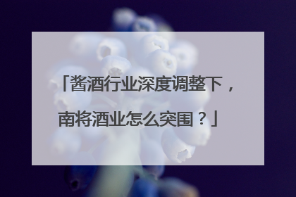 酱酒行业深度调整下，南将酒业怎么突围？