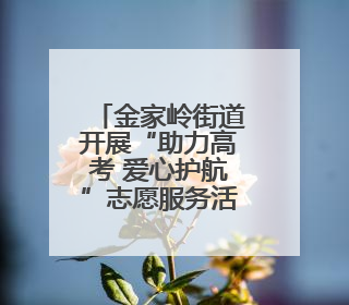 金家岭街道开展“助力高考 爱心护航”志愿服务活动