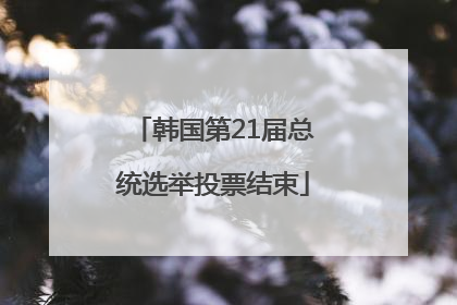 韩国第21届总统选举投票结束
