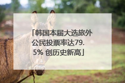 韩国本届大选旅外公民投票率达79.5% 创历史新高
