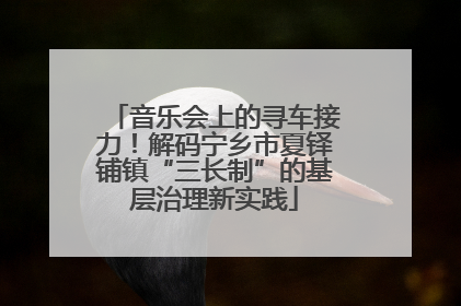 音乐会上的寻车接力！解码宁乡市夏铎铺镇“三长制”的基层治理新实践