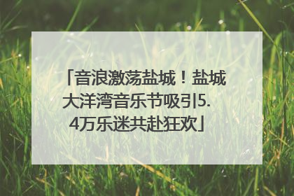 音浪激荡盐城！盐城大洋湾音乐节吸引5.4万乐迷共赴狂欢