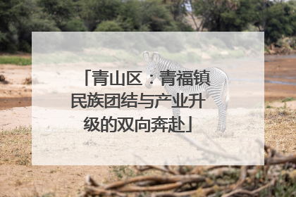 青山区：青福镇民族团结与产业升级的双向奔赴