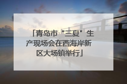 青岛市“三夏”生产现场会在西海岸新区大场镇举行