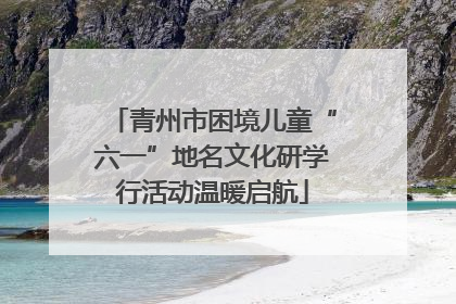 青州市困境儿童“六一”地名文化研学行活动温暖启航