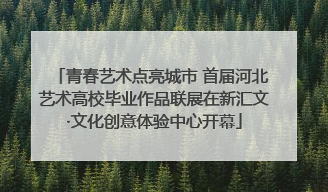 青春艺术点亮城市 首届河北艺术高校毕业作品联展在新汇文·文化创意体验中心开幕