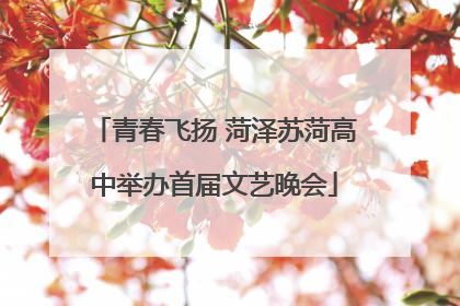 青春飞扬 菏泽苏菏高中举办首届文艺晚会