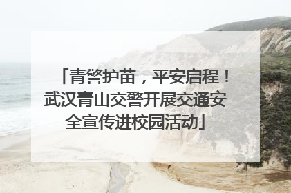 青警护苗，平安启程！武汉青山交警开展交通安全宣传进校园活动