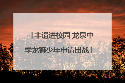 非遗进校园 龙泉中学龙狮少年申请出战