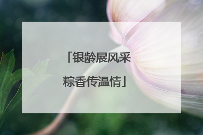 银龄展风采 粽香传温情