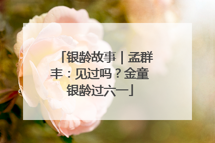 银龄故事｜孟群丰：见过吗？金童银龄过六一