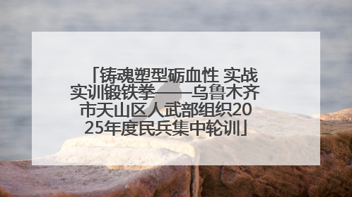 铸魂塑型砺血性 实战实训锻铁拳——乌鲁木齐市天山区人武部组织2025年度民兵集中轮训