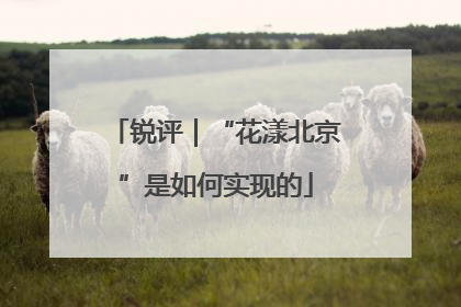 锐评｜“花漾北京”是如何实现的