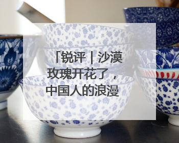 锐评｜沙漠玫瑰开花了，中国人的浪漫叫“担当”