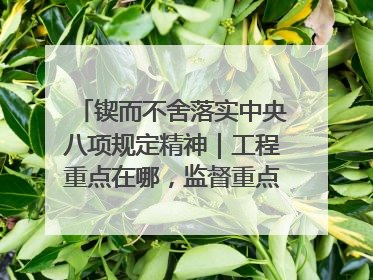 锲而不舍落实中央八项规定精神|工程重点在哪,监督重点就在哪——广西深化政治监督护航平陆运河建设