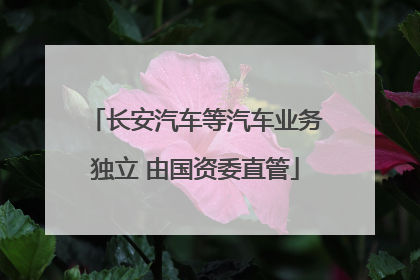 长安汽车等汽车业务独立 由国资委直管