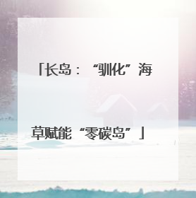 长岛：“驯化”海草赋能“零碳岛”
