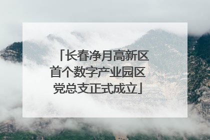 长春净月高新区首个数字产业园区党总支正式成立