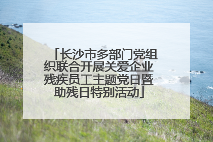 长沙市多部门党组织联合开展关爱企业残疾员工主题党日暨助残日特别活动