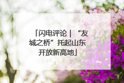 闪电评论｜“友城之桥”托起山东开放新高地