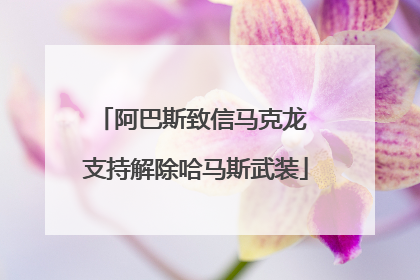 阿巴斯致信马克龙 支持解除哈马斯武装