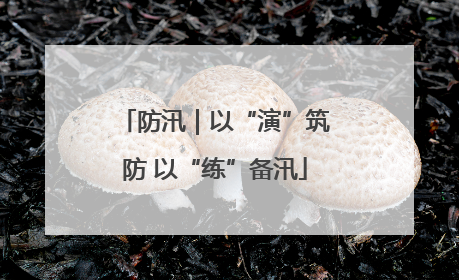 防汛｜以“演”筑防 以“练”备汛