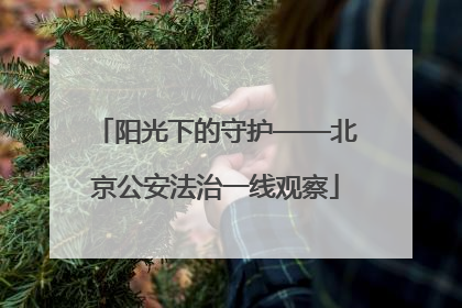 阳光下的守护——北京公安法治一线观察