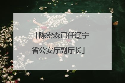 陈密森已任辽宁省公安厅副厅长