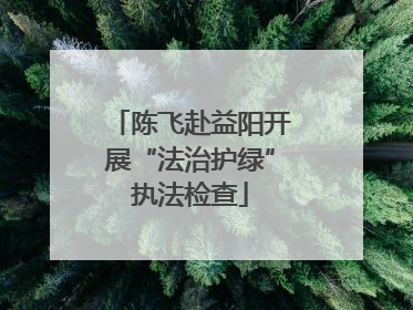 陈飞赴益阳开展“法治护绿”执法检查