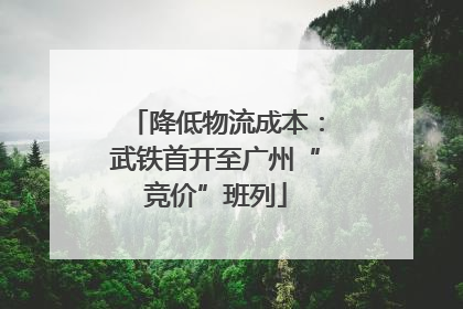 降低物流成本：武铁首开至广州“竞价”班列