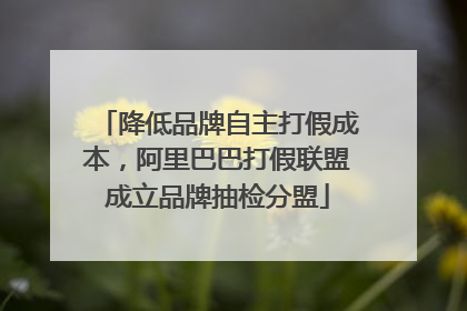 降低品牌自主打假成本，阿里巴巴打假联盟成立品牌抽检分盟