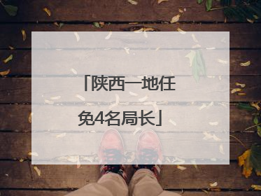 陕西一地任免4名局长