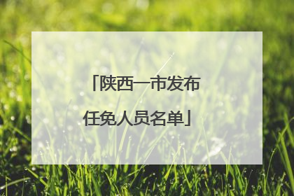 陕西一市发布任免人员名单