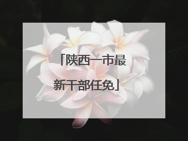 陕西一市最新干部任免