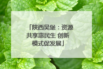 陕西吴堡：资源共享惠民生 创新模式促发展