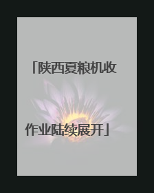 陕西夏粮机收作业陆续展开