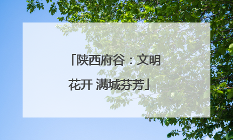 陕西府谷：文明花开 满城芬芳