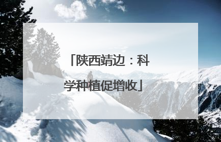 陕西靖边：科学种植促增收