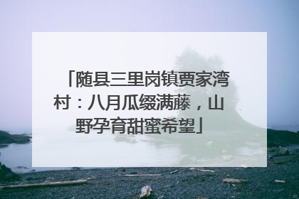 随县三里岗镇贾家湾村：八月瓜缀满藤，山野孕育甜蜜希望