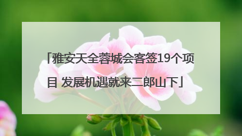 雅安天全蓉城会客签19个项目 发展机遇就来二郎山下
