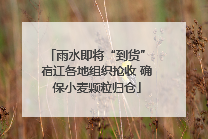 雨水即将“到货” 宿迁各地组织抢收 确保小麦颗粒归仓