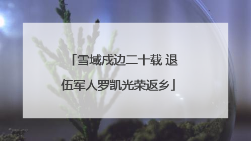 雪域戍边二十载 退伍军人罗凯光荣返乡