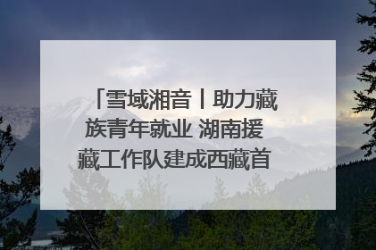 雪域湘音丨助力藏族青年就业 湖南援藏工作队建成西藏首个清洁能源装备园