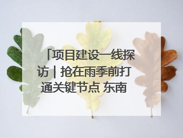 项目建设一线探访｜抢在雨季前打通关键节点 东南退水明渠四标段项目顺利完工