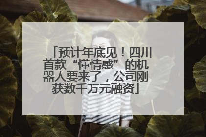 预计年底见！四川首款“懂情感”的机器人要来了，公司刚获数千万元融资